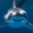 novaShark